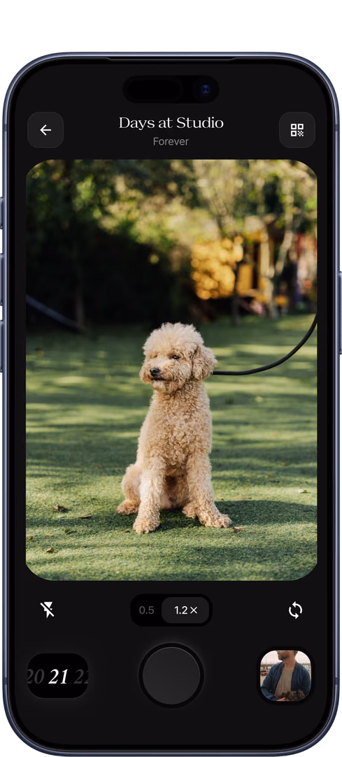 Once camera view at an event